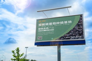 戶外高炮廣告設(shè)計(jì) 葡萄產(chǎn)品推廣的藝術(shù)與策略